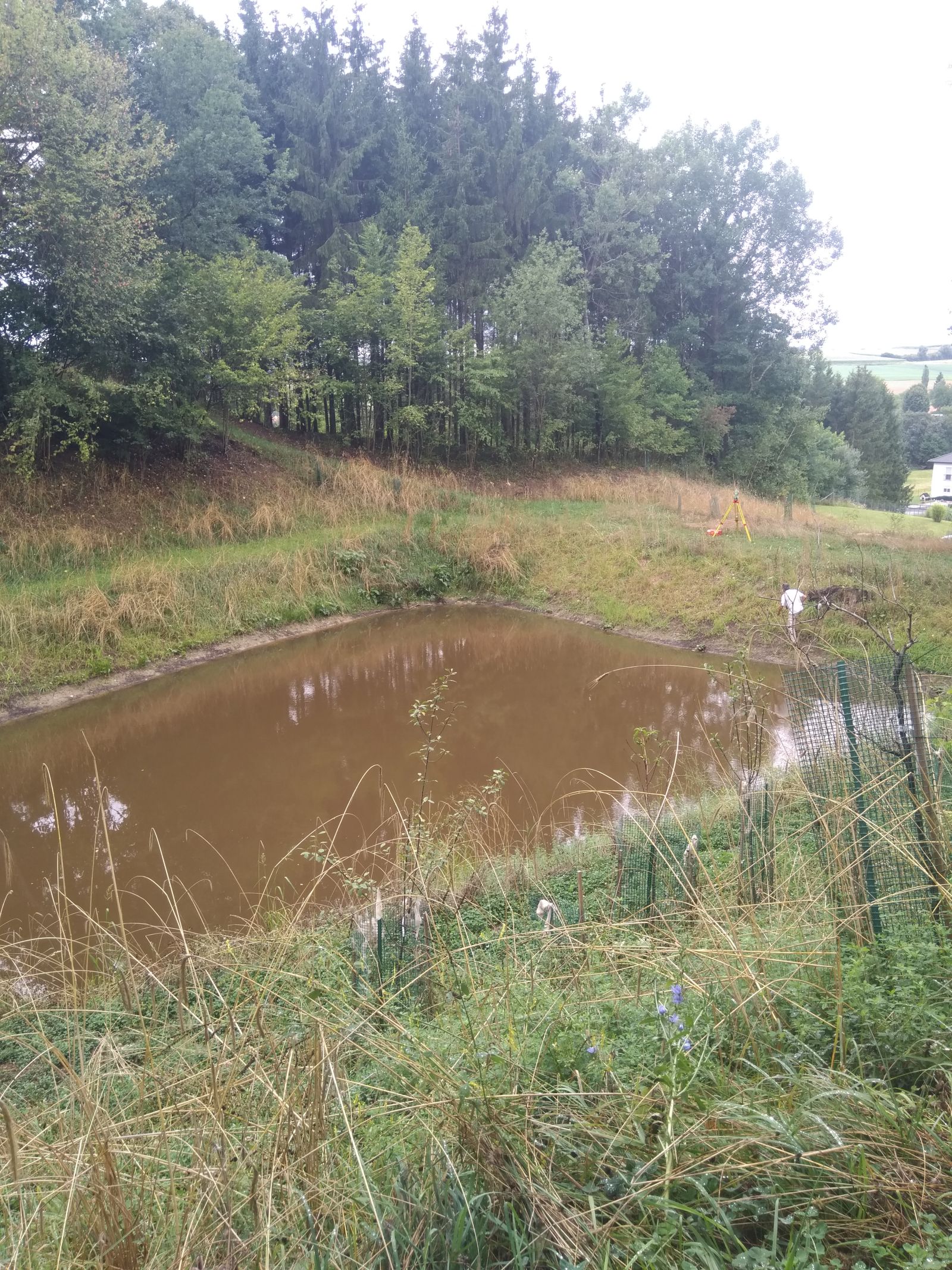 Vermessung Bauvorhaben Wien, NÖ, Burgenland